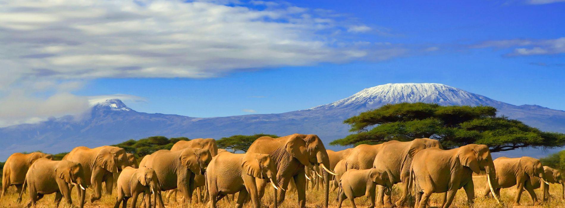 Safari Tanzania | Eden Viaggi