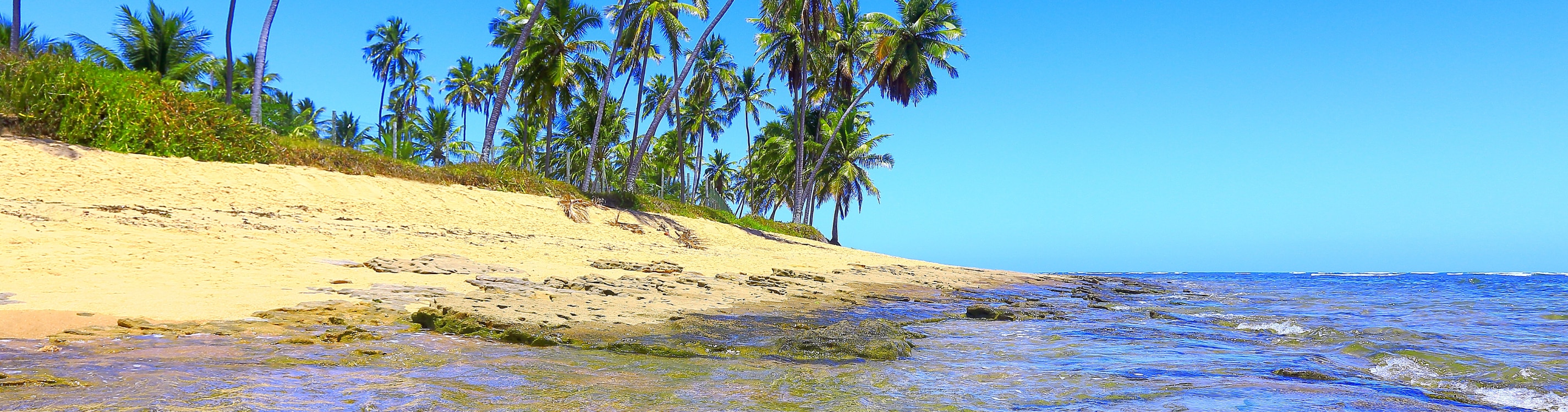 Vacanze a Praia Do Forte, Brasile | Eden Viaggi