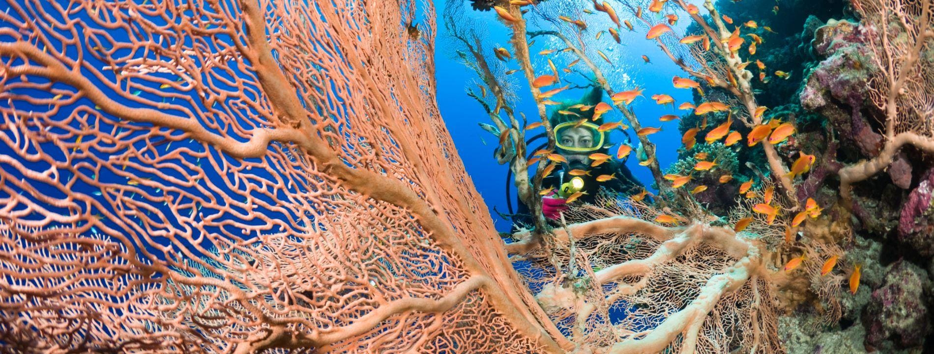 Escursioni a Marsa Alam | Eden Viaggi