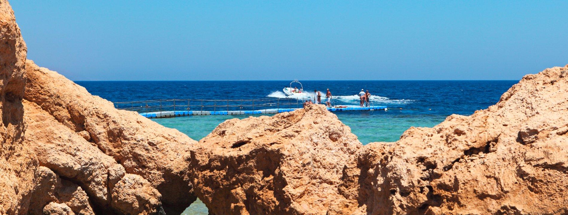 Vacanze Shark Bay