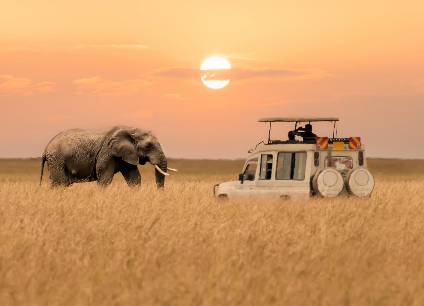 Vacanze ad agosto Kenya | Eden Viaggi 