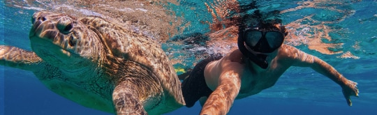 Offerte vacanze Marsa Alam | Eden viaggi