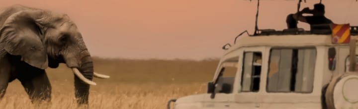 Offerte vacanze Kenya | Eden viaggi