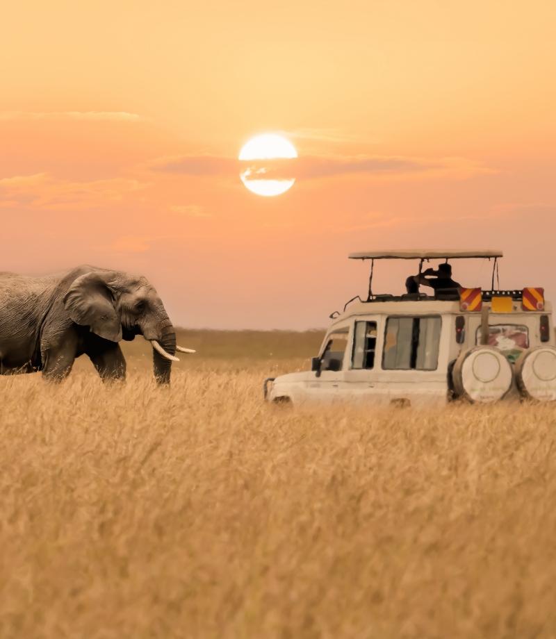 Safari Kenya | Eden Viaggi