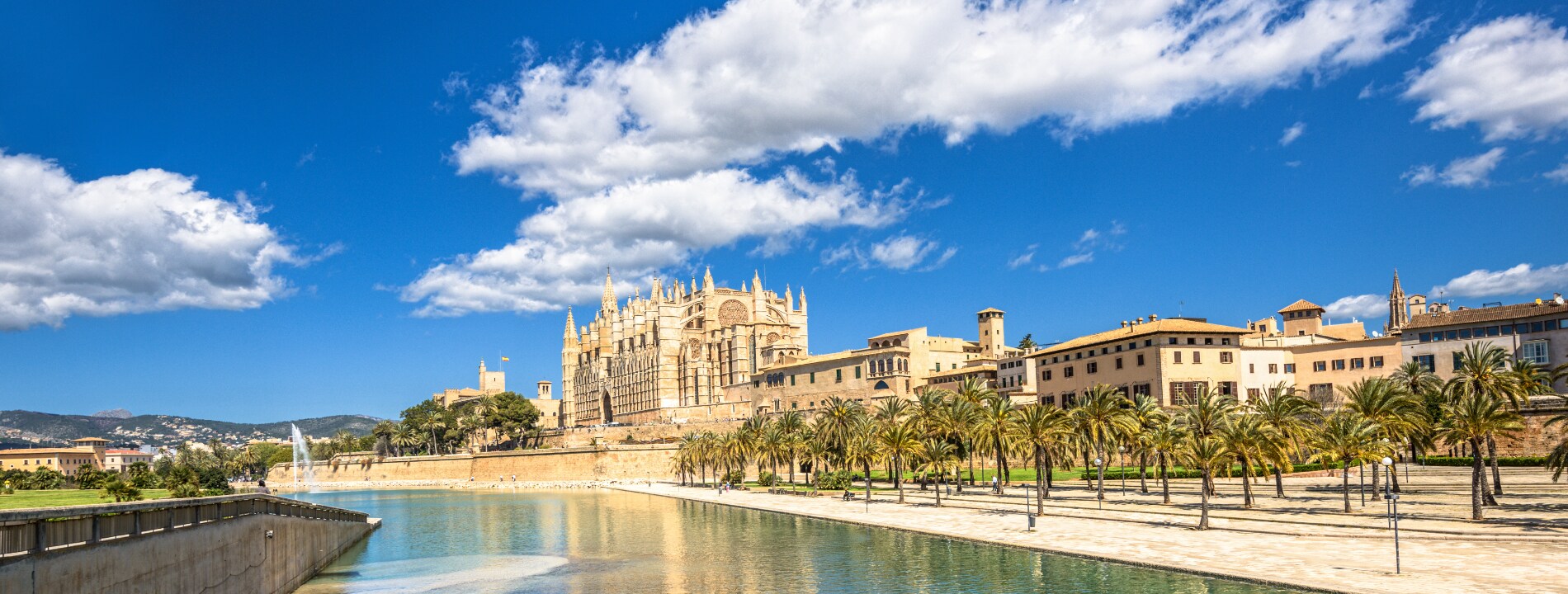 Maiorca