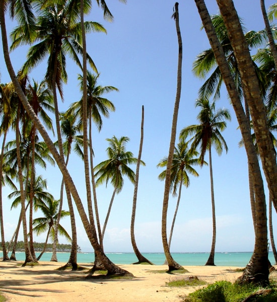 Playa Bonita, Repubblica Dominicana