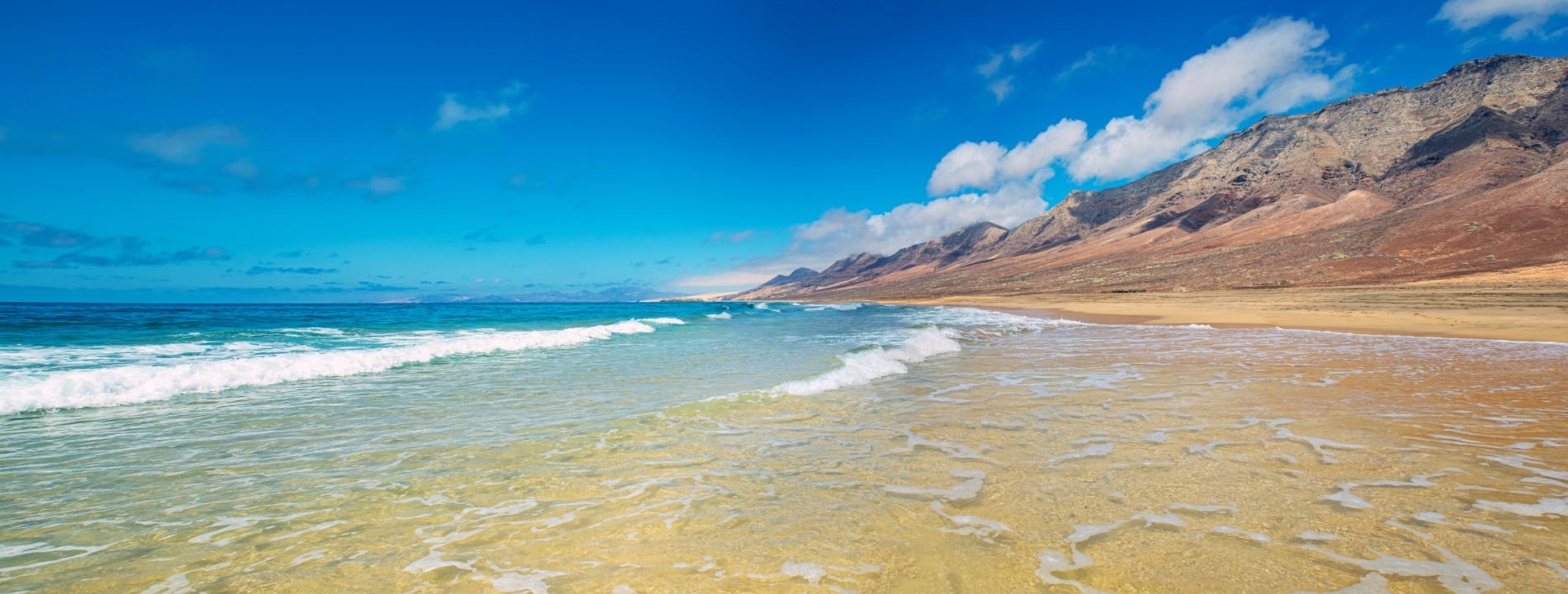 Canarie