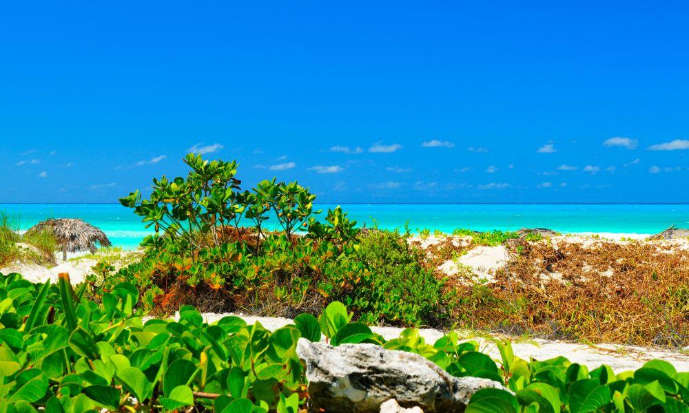 Cuba, Caraibi | Eden Viaggi 