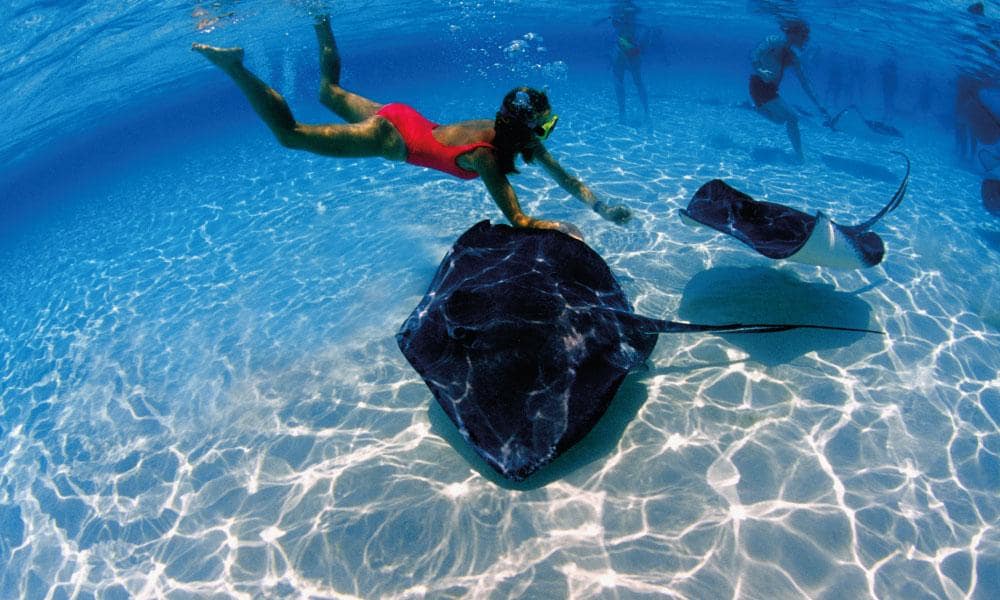 Immersioni Maldive | Eden Viaggi