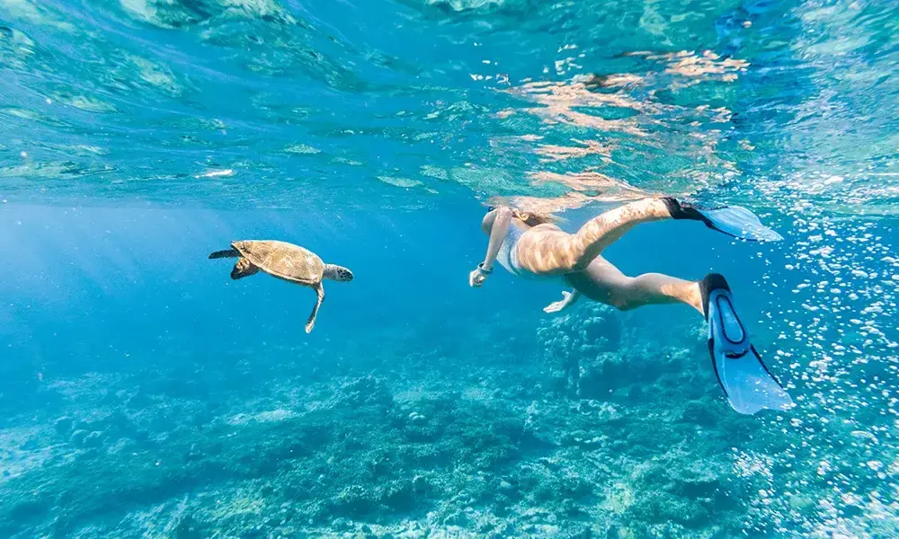 Dove andare per diving alle Maldive e snorkeling | Eden Viaggi