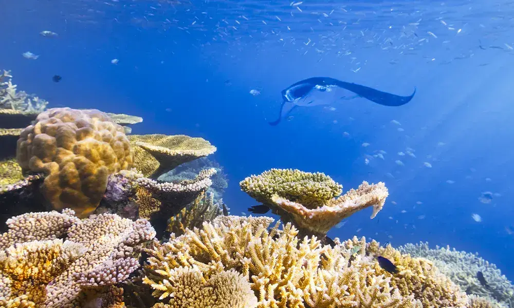 Maldive | Eden Viaggi