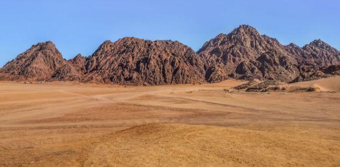 Deserto a Sharm el Sheikh | Eden Viaggi