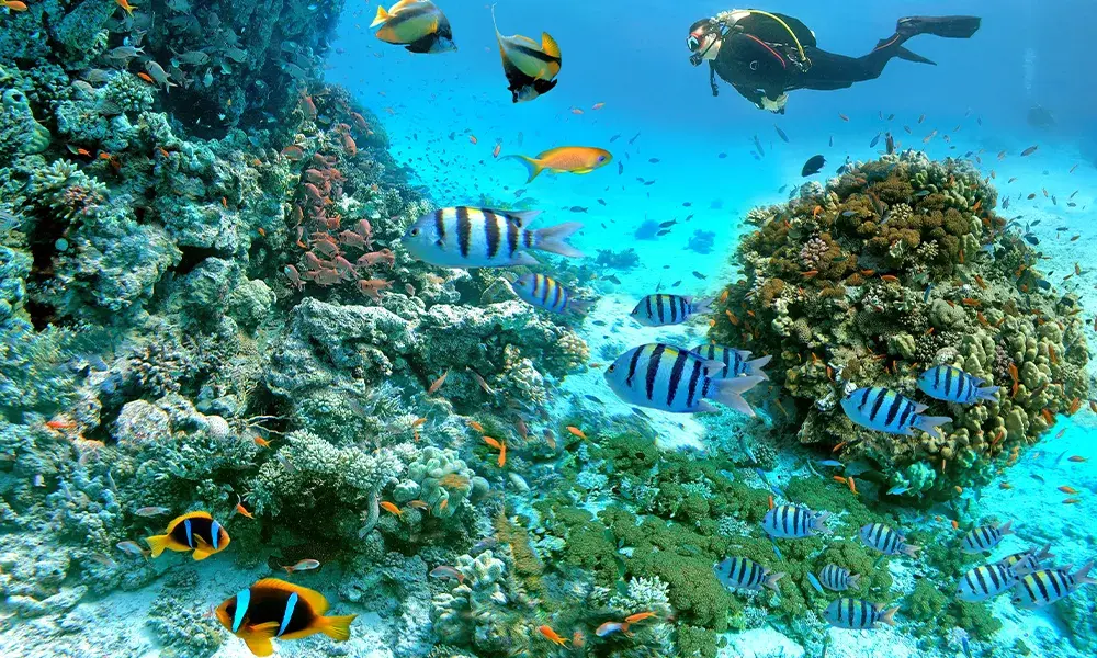 Hurghada, Egitto | Eden Viaggi