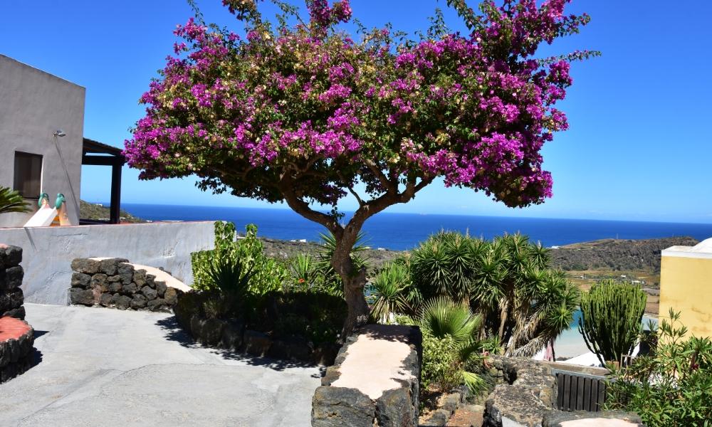 Pantelleria, Sicilia | Eden Viaggi