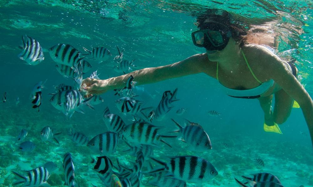 Snorkeling Mauritius | Eden Viaggi