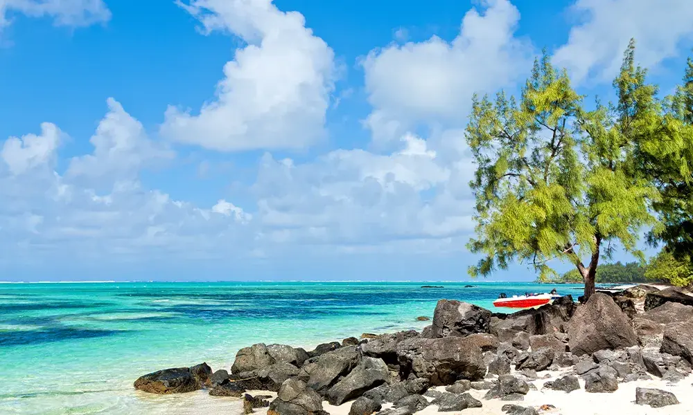 Isola dei Cervi Mauritius: guida completa | Eden Viaggi 