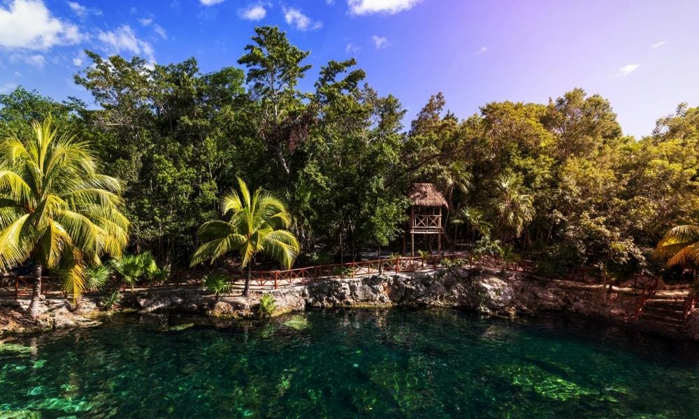 Cenotes Messico: i più belli da non perdere | Eden Viaggi 