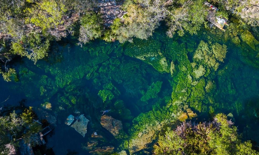 Jardín del Edén, Messico | Eden Viaggi