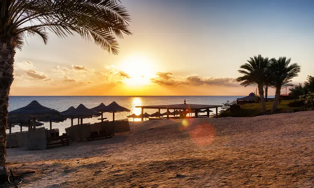 Primavera nel Mar Rosso | Eden Viaggi