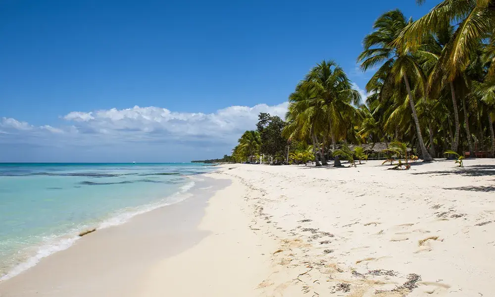 Isola di Saona | Eden Viaggi