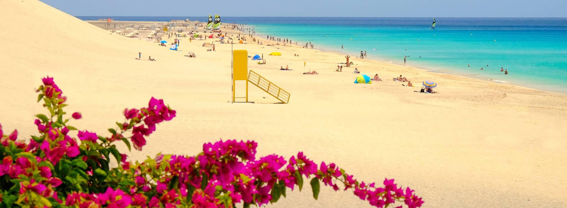 Racconti di viaggio alle Canarie | Eden Viaggi