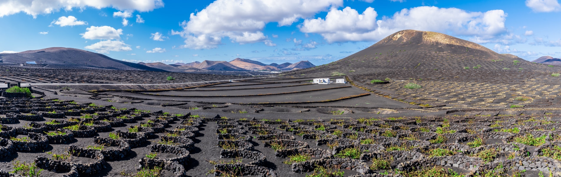 Malvasia,  Lanzarote - Canarie | Eden Viaggi