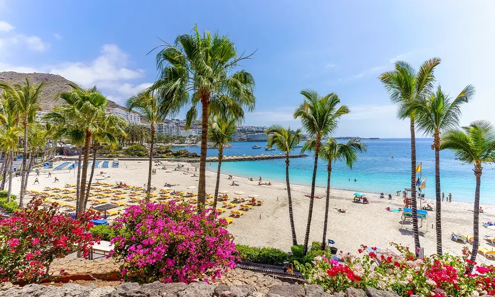 Gran Canaria in inverno | Eden Viaggi