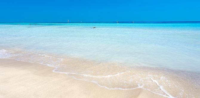 Djerba spiaggia | Eden Viaggi