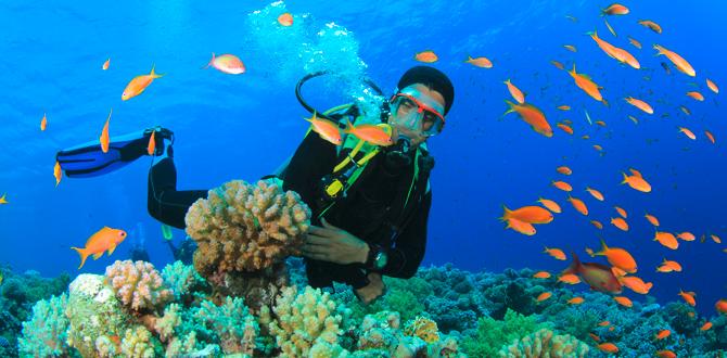 Cayo Blanco | Vacanze a Varadero, fra mille sfumature di blu | Eden Viaggi