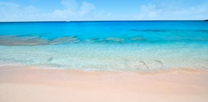 Viaggio a St Maarten tra natura e farfalle | Eden Viaggi