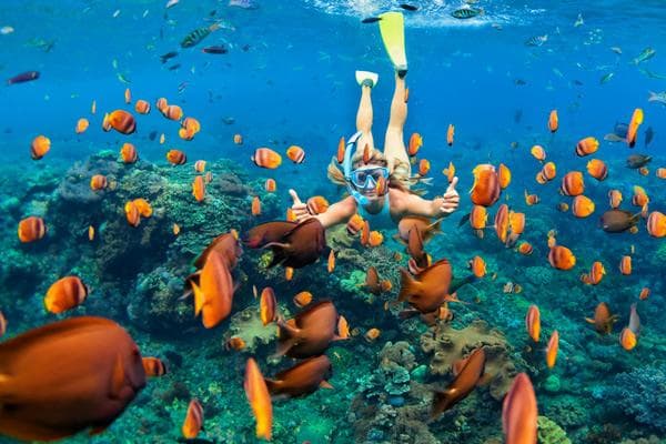 Dove fare snorkeling a Sharm el-Sheikh