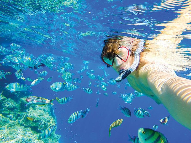 Snorkeling a Sharm el Sheikh | Eden Viaggi