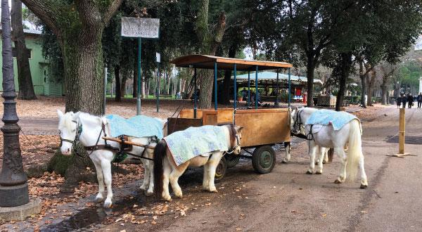 Roma con bambini - Villa Borghese, pony