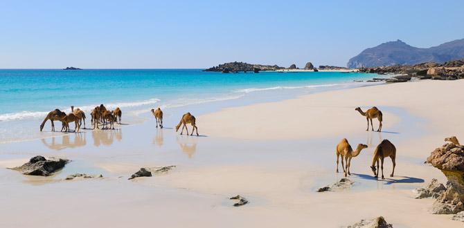 Salalah | Le vie dell'incenso | Eden Viaggi