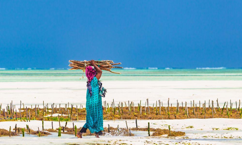Zanzibar | Eden Viaggi