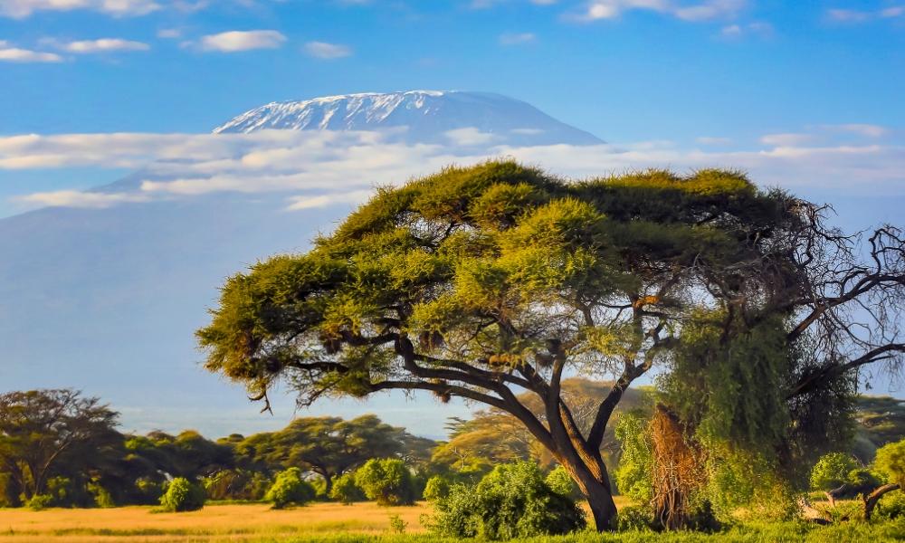 Tanzania | Eden Viaggi