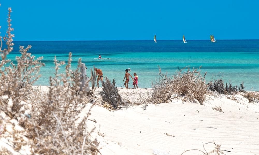 Djerba, Tunisia | Eden Viaggi