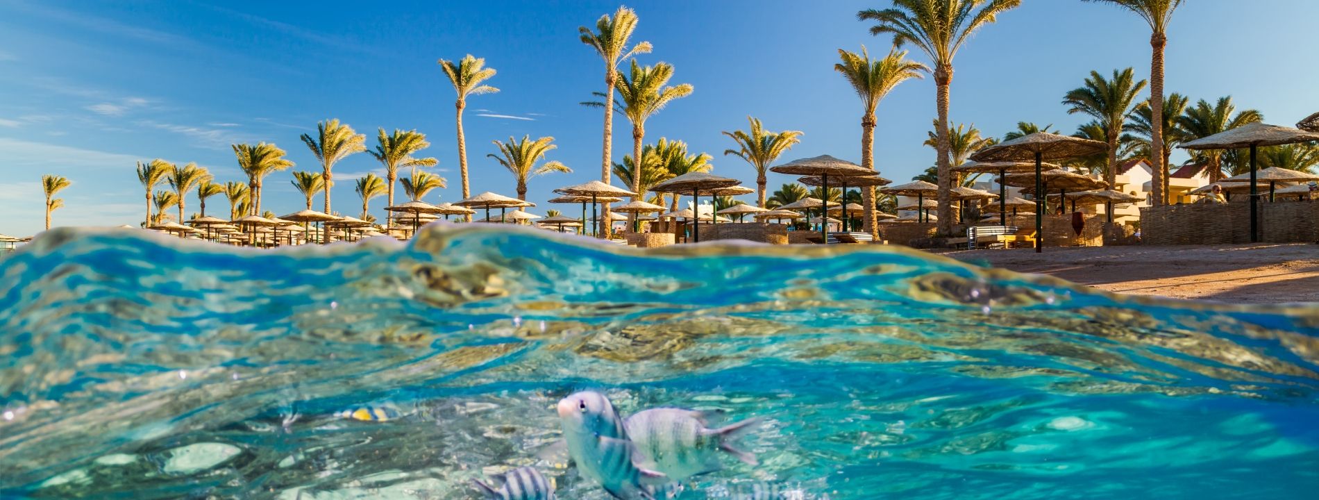 Vacanza in Egitto - Vacanza all inclusive | Eden Viaggi